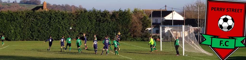 Tatworth Playing Fields